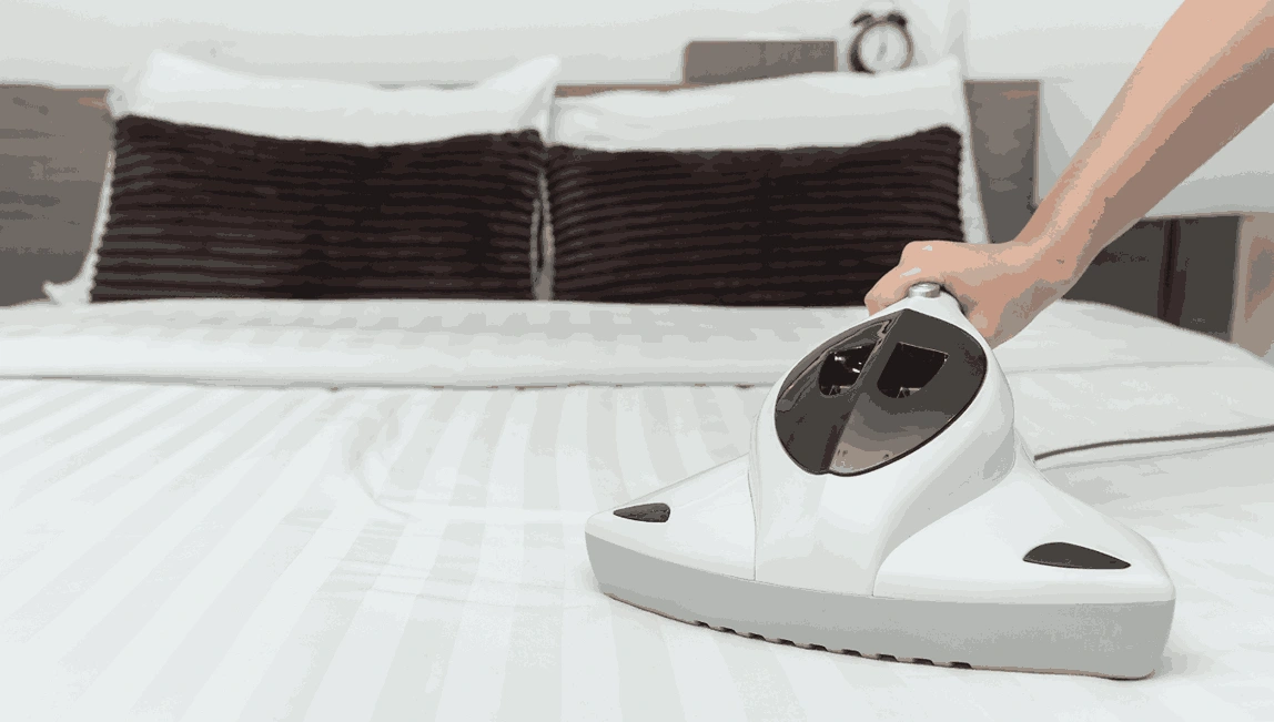 Professional Mattress Cleaning Bylands
